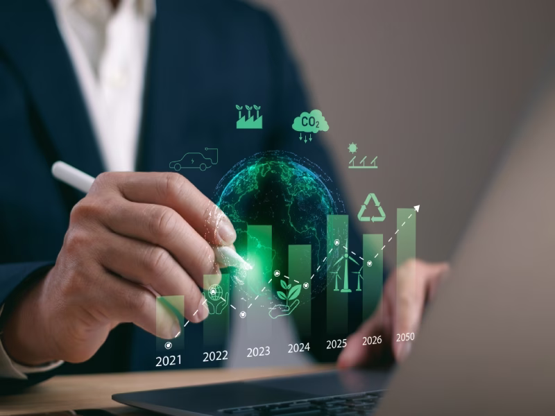 Reports & Analytics