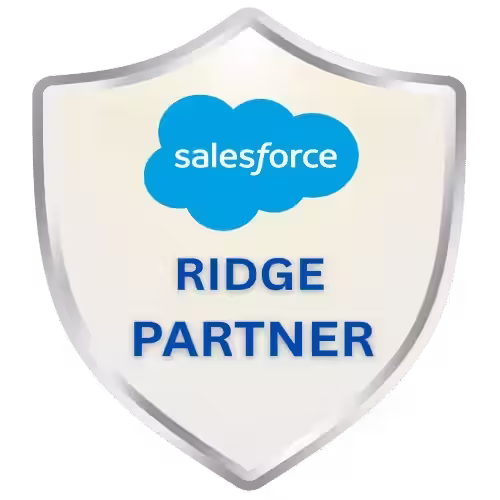 Salesforce Ridge Consulting Partner